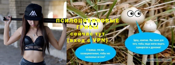 эйфоретик Белоозёрский